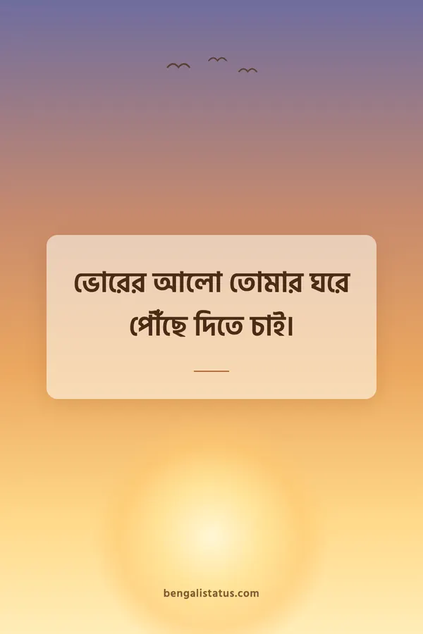 ভোরের আলো তোমার ঘরে পৌঁছে দিতে চাই।